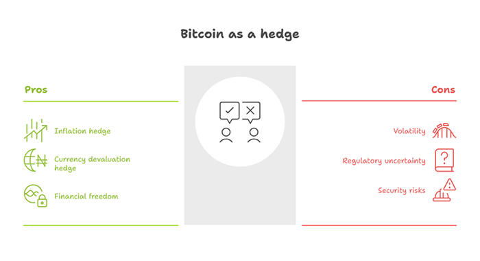 Bitcoin as a hedge - Financial Freedom or Risky Gamble?